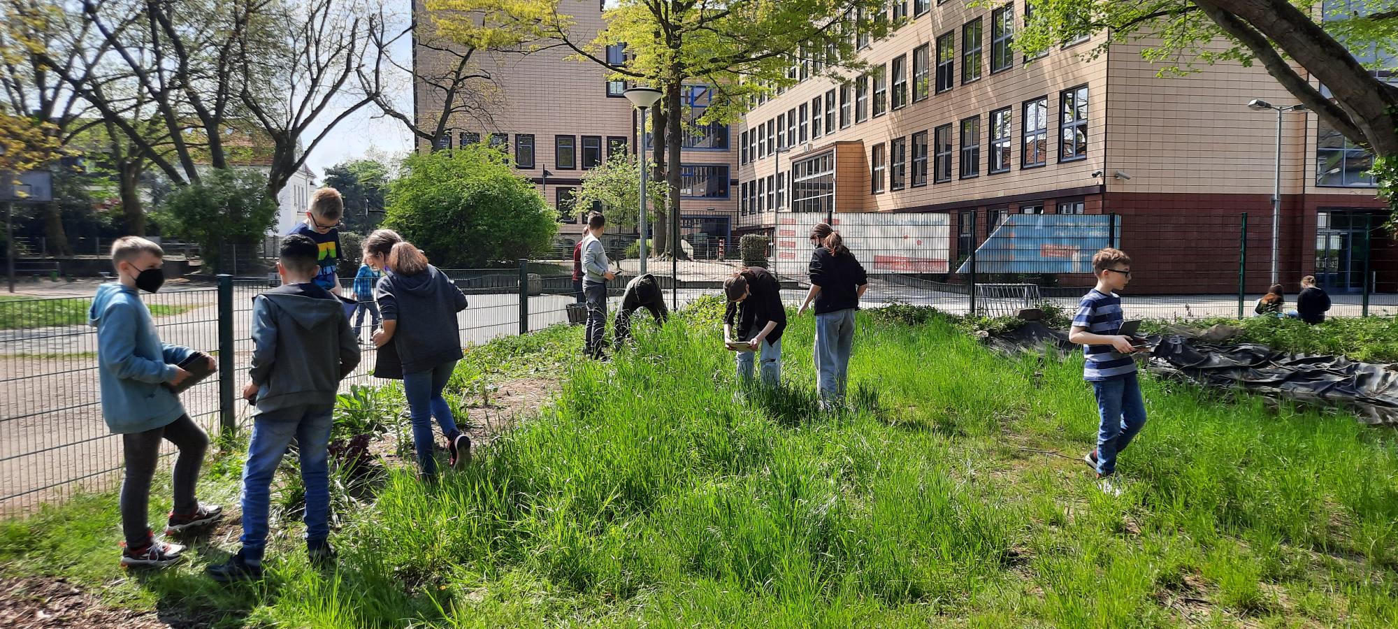 Unterricht im Schulgarten