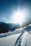 Schönfeld 2023   Web (18)
