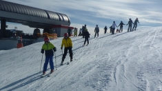 Schönfeld 2023   Web (15)