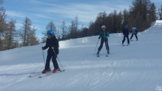 Schönfeld 2023   Web (22)