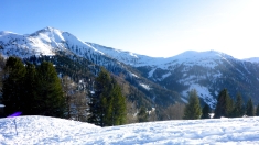 Schönfeld 2023   Web (17)
