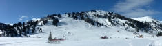 Schönfeld 2023   Web (2)