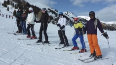 Schönfeld 2023   Web (9)